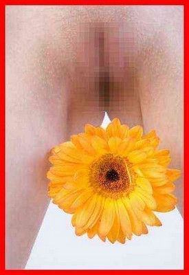 femmes individuelles Maïssa